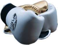 The HitFit Gym